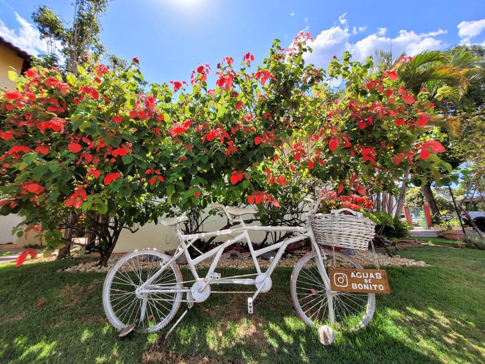 Inn águas De Bonito (Mato Grosso do Sul)